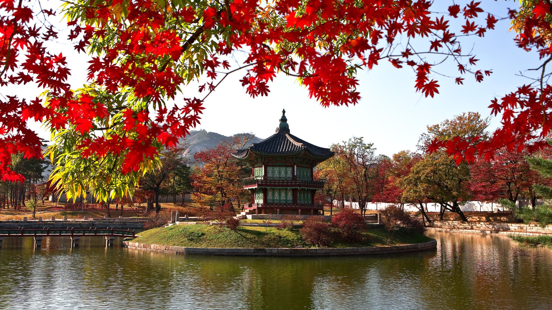 Seoul beauty guide: skincare, quartieri iconici e tappe da sogno